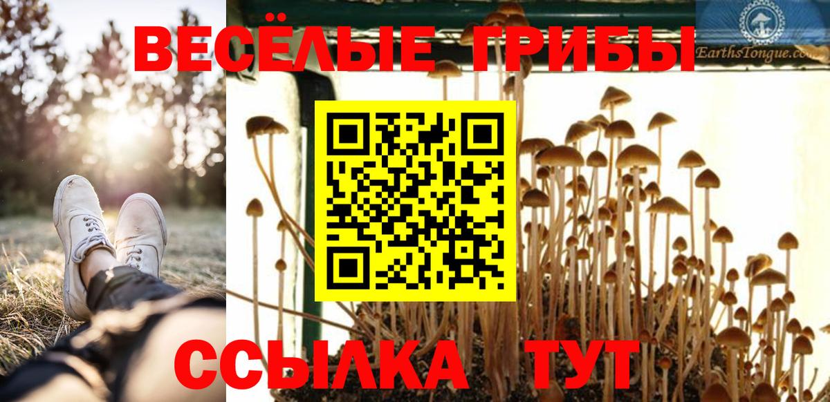 Галлюциногенные грибы ЛСД  Галлюциногенные грибы мицелий  Рыбинск  Вход с VPN 